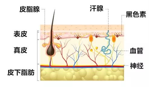 D:\新建文件夹\用户目录\我的文档\WeChat Files\weixin570399359\FileStorage\Temp\286616ff7b371344991aca84839a1ab4.jpg